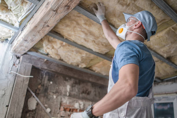 Best Eco-Friendly Insulation in , UT
