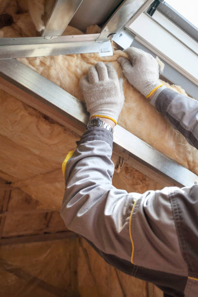 Best Geographic-Specific Insulation Services in , UT